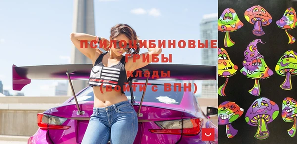 mix Пересвет