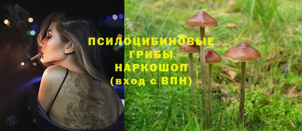 ECSTASY Алексин